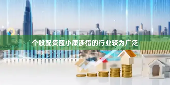 个股配资蓝小康涉猎的行业较为广泛