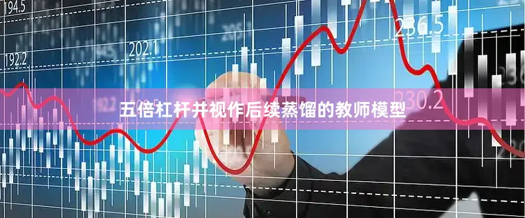 五倍杠杆并视作后续蒸馏的教师模型