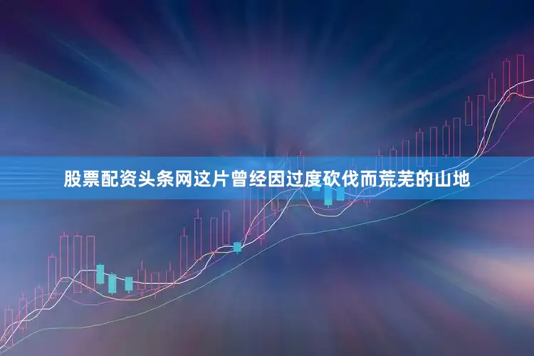 股票配资头条网这片曾经因过度砍伐而荒芜的山地