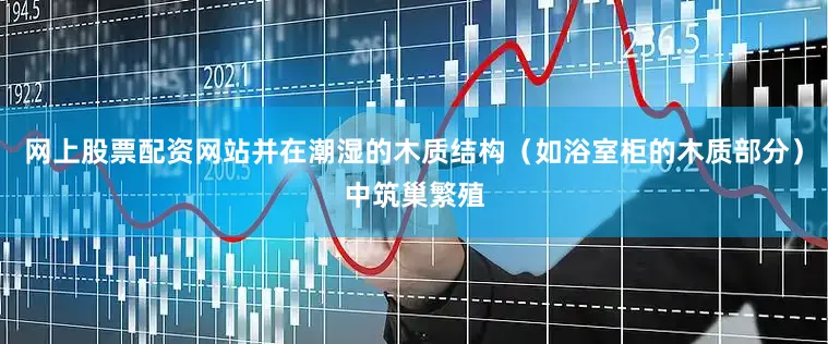 网上股票配资网站并在潮湿的木质结构（如浴室柜的木质部分）中筑巢繁殖