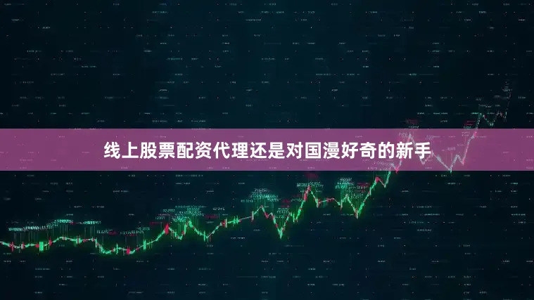 线上股票配资代理还是对国漫好奇的新手